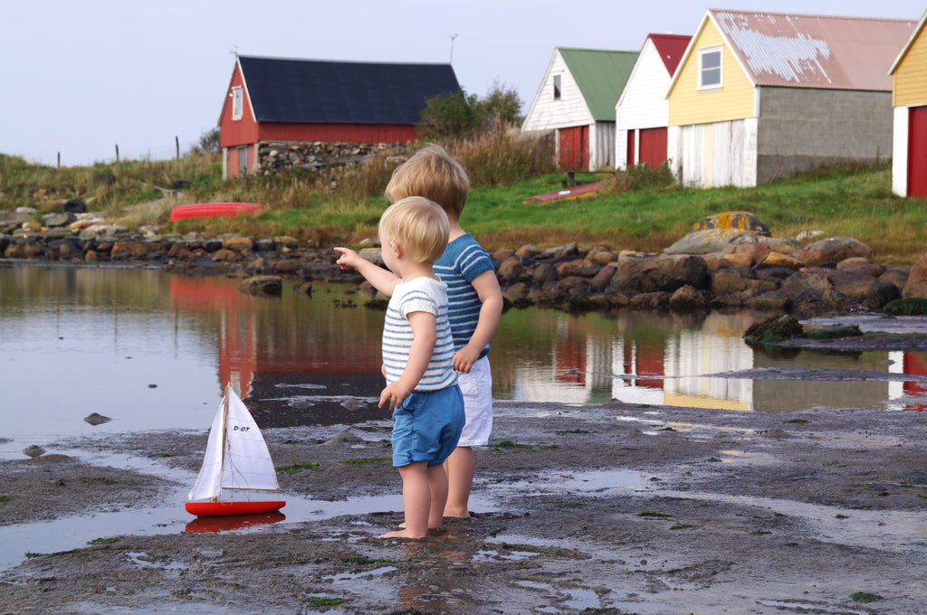 Kråkebolletopp