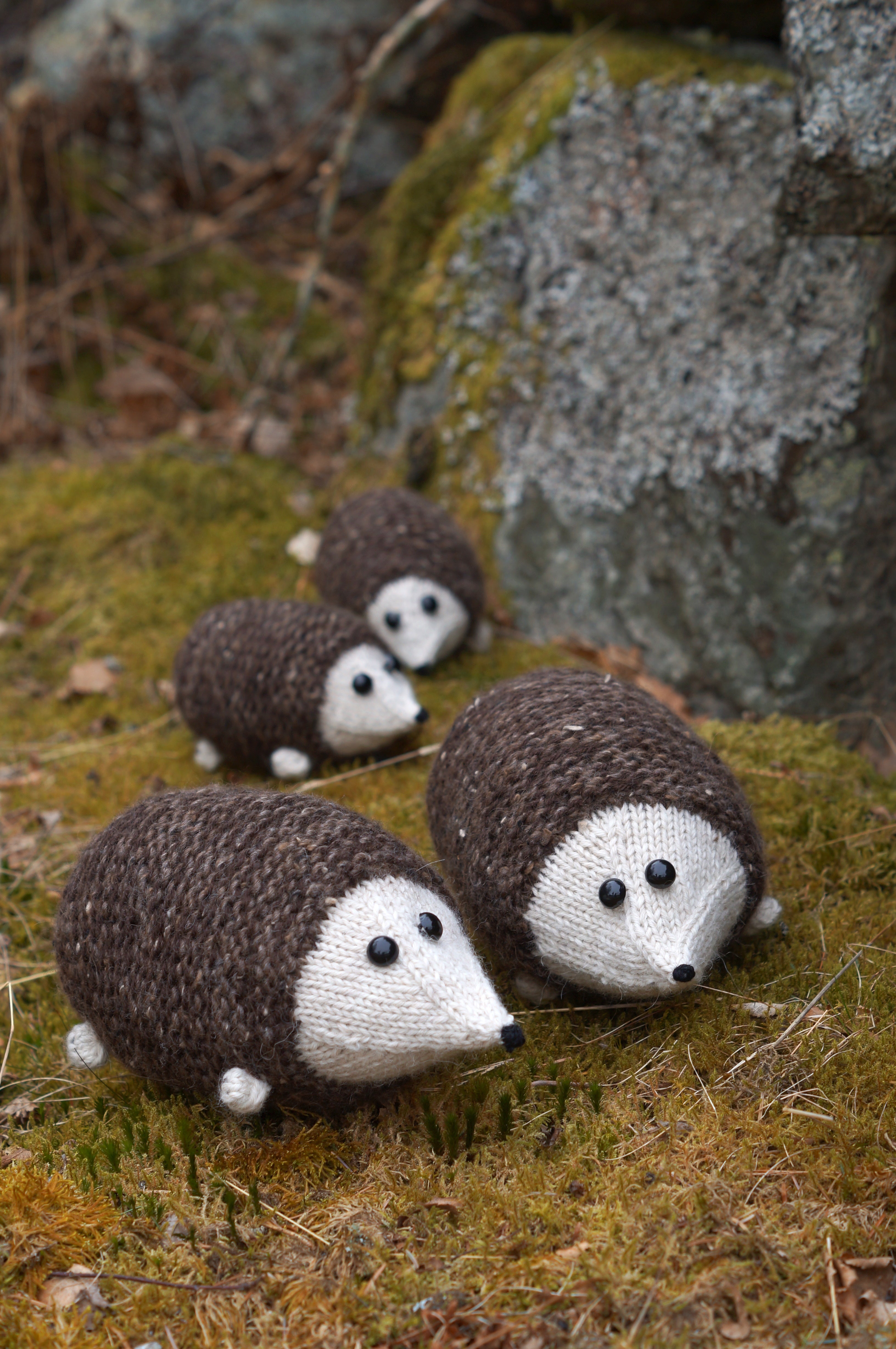 Bollapinnsvin