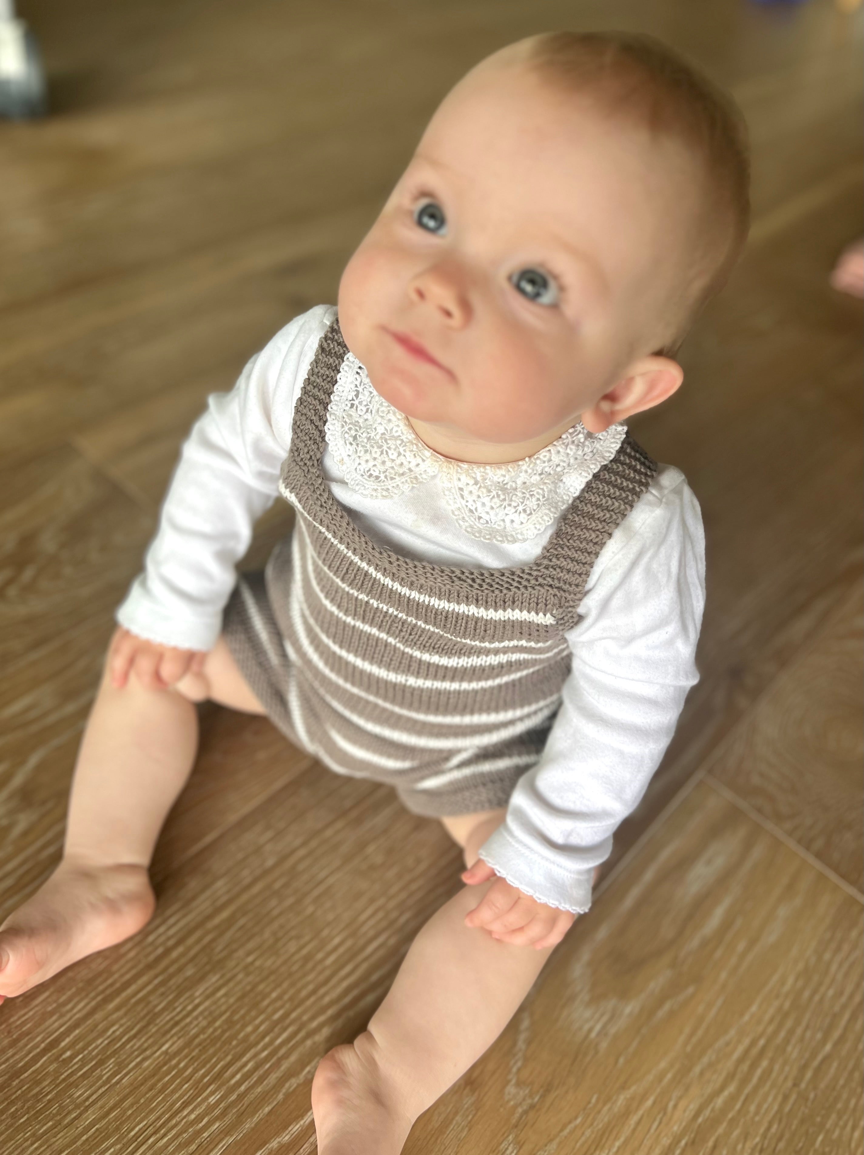 Steveybukse