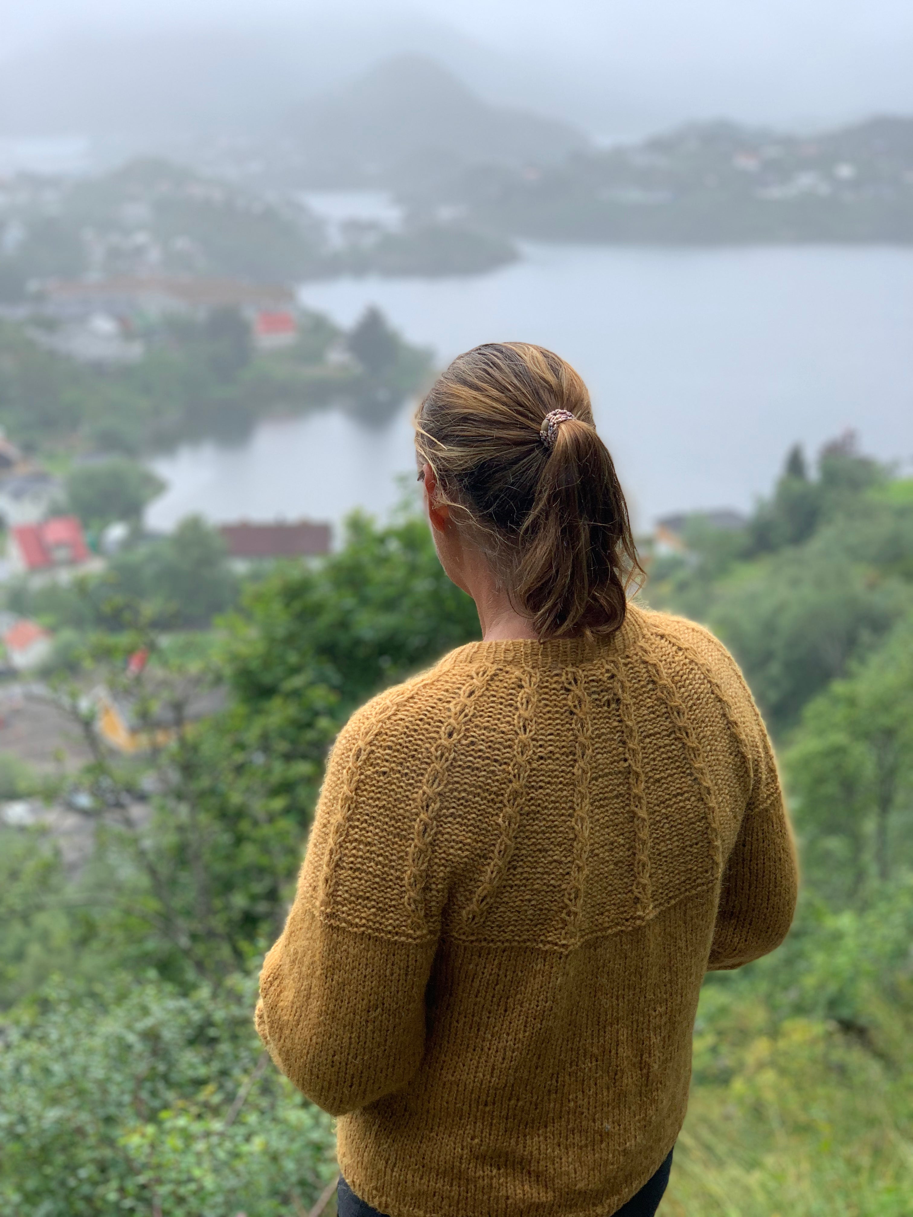 Koseposegenser, Voksen